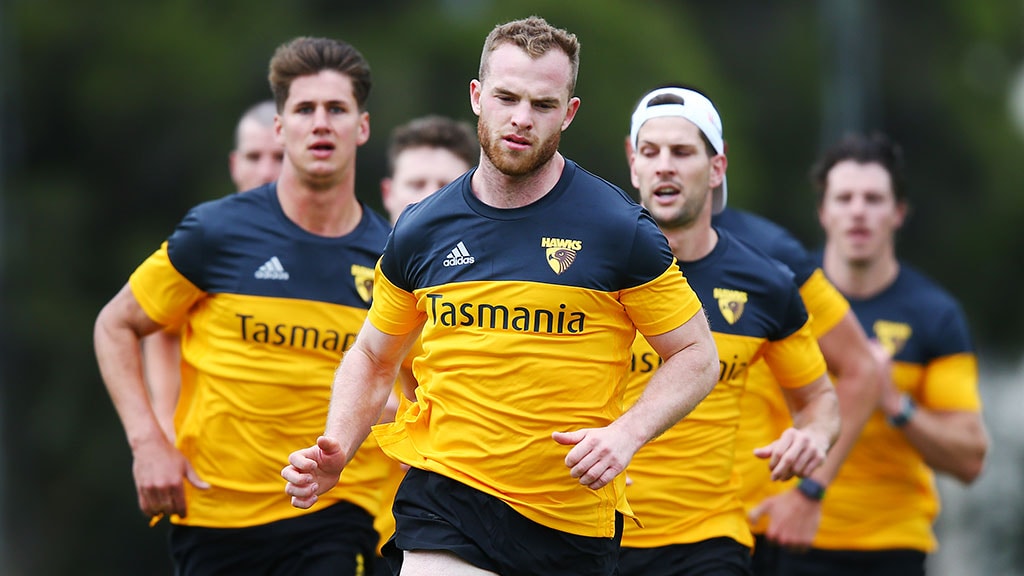 mitchell110119.jpg Tom Mitchell is likely to miss the 2019 season - AFL,Fantasy,Hawthorn Hawks,Tom Mitchell